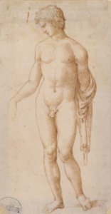 Standing Male Nude MET 2001.452