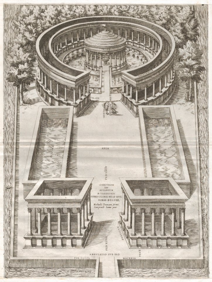 Speculum Romanae Magnificentiae- Ornithon Sive Aviarum MET DP870777
