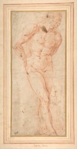 Standing Male Nude with Hands behind Back MET DP801336