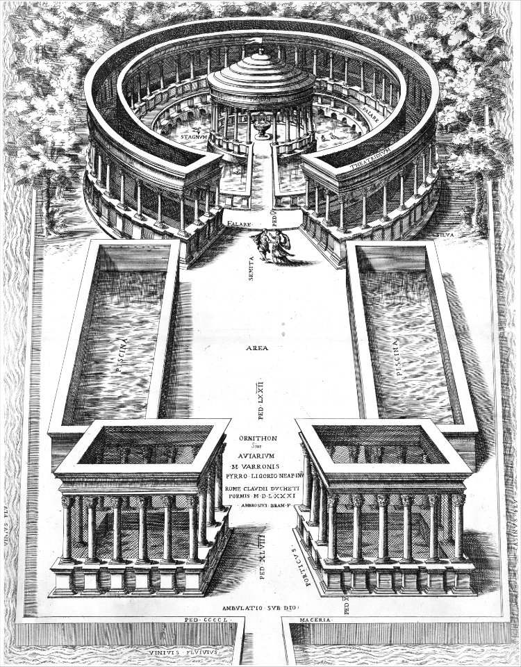 Speculum Romanae Magnificentiae- Ornithon Sive Aviarum MET MM91773