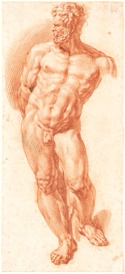 Standing Male Nude MET DP155705
