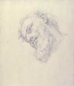 Study for a Head of a Man MET 61.130.7
