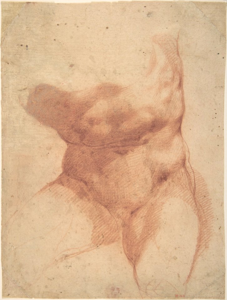 Study after the Belvedere Torso MET DP809048