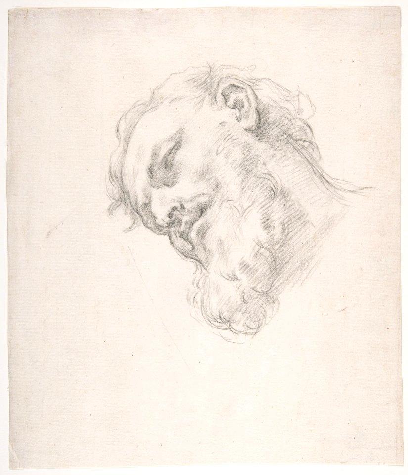 Study for a Head of a Man MET DP810403