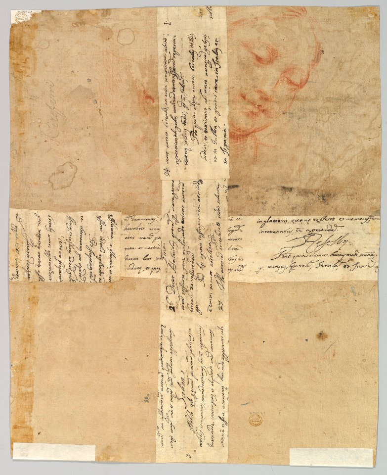Study for a Ceiling Decoration- Coronation of the Virgin (recto); Female Head (verso) MET DP820296