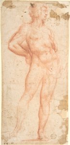 Standing Nude Man (Bacchus) MET DP809050