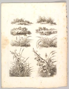 Studienblätter für Landschaftzeichner MET DP820697
