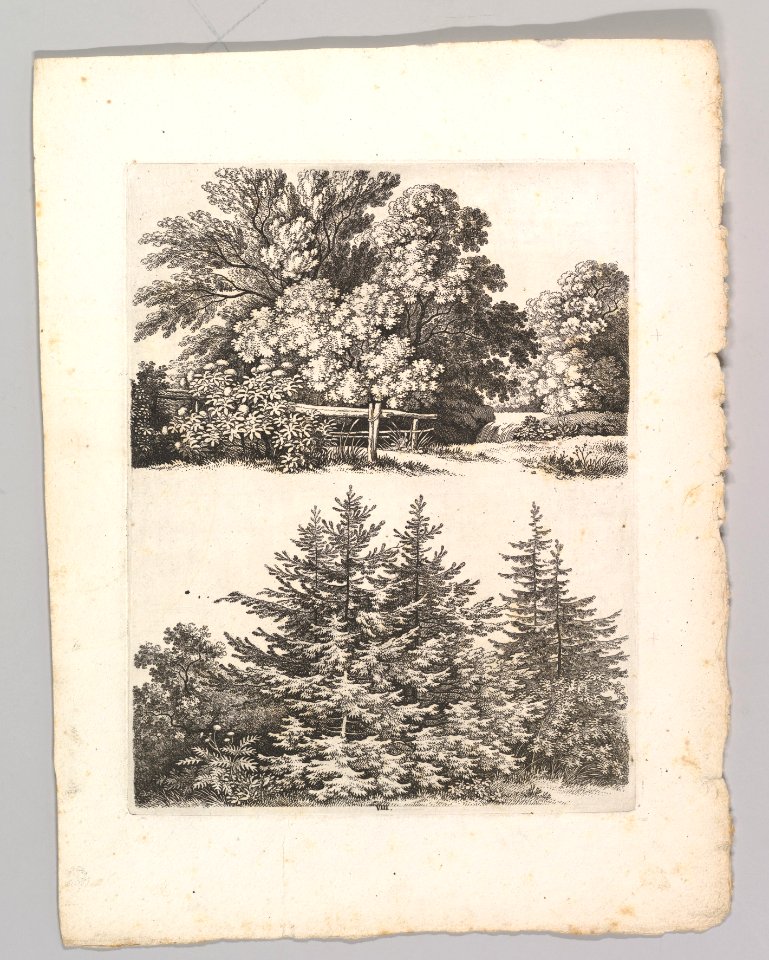 Studienblätter für Landschaftzeichner MET DP820702