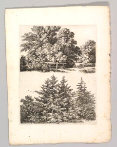 Studienblätter für Landschaftzeichner MET DP820702