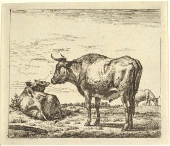 Standing Bull, from Different Animals MET DP828091
