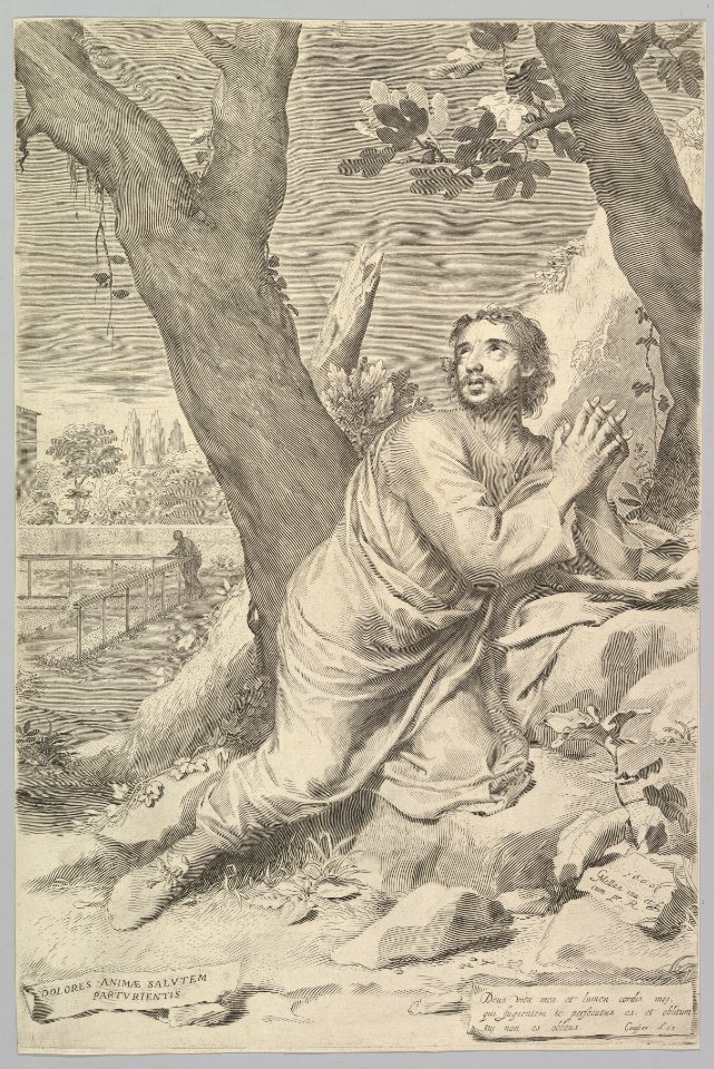 St. Augustine MET DP822292