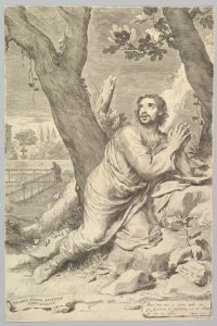 St. Augustine MET DP822292