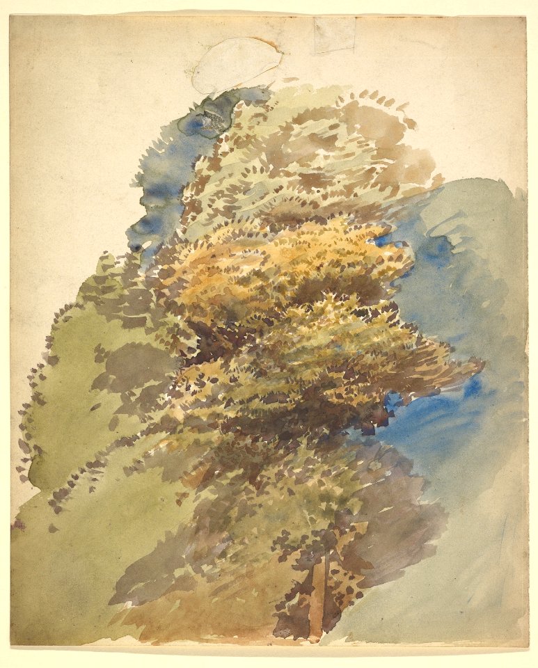 Study of a Tree MET DP829461
