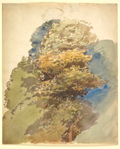 Study of a Tree MET DP829461