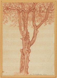 Study of a Tree in the Luxembourg Gardens MET DP850991