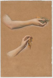 Study of Arms for "The Cadence of Autumn" MET DP882759