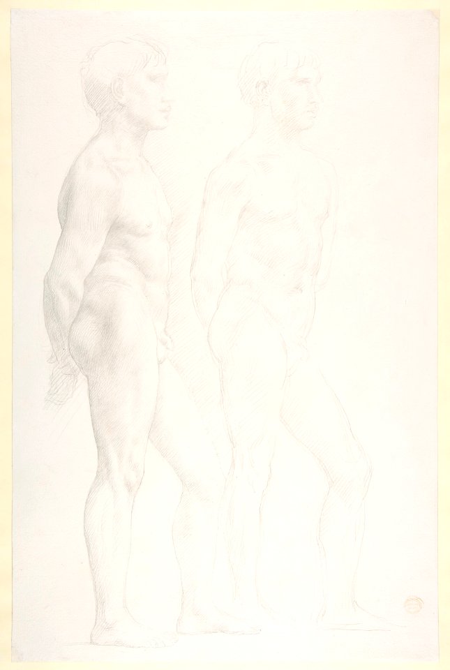 Study of Two Figures MET DP811607