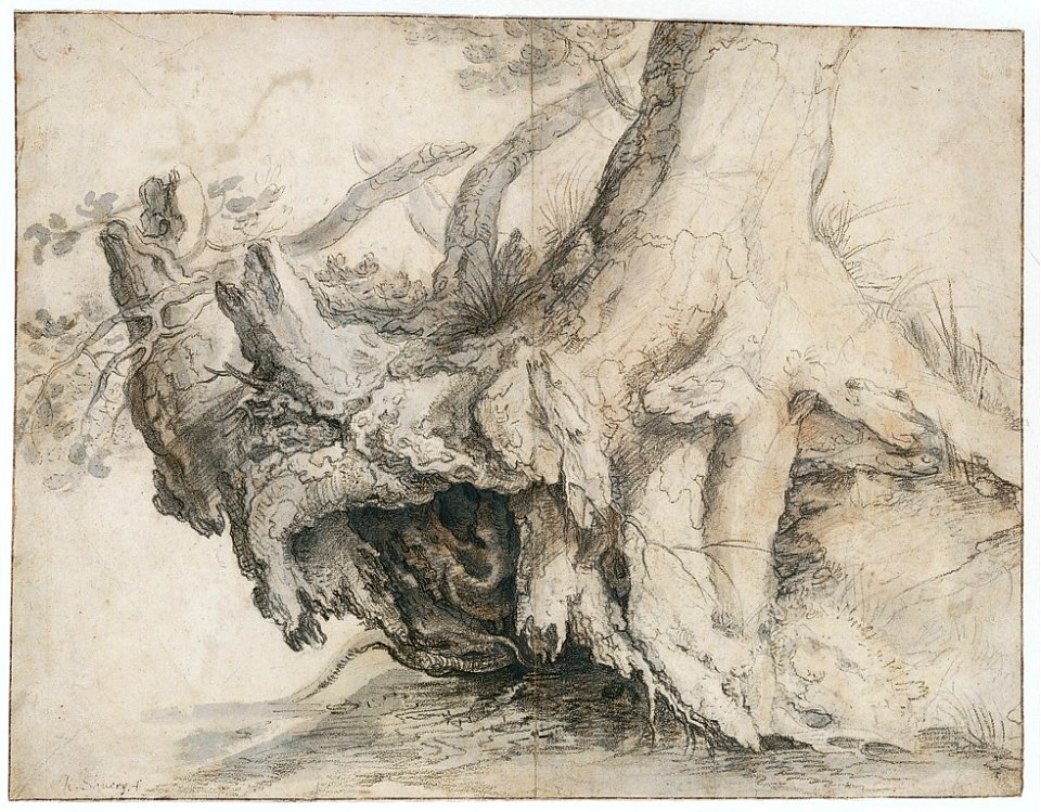 Study of a Tree MET 1999.223