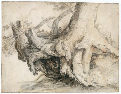 Study of a Tree MET 1999.223