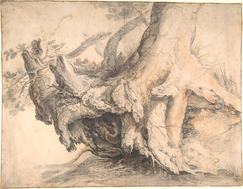 Study of a Tree MET DP801838