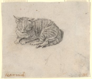 Study of a Sleeping Cat MET DP837794 ff