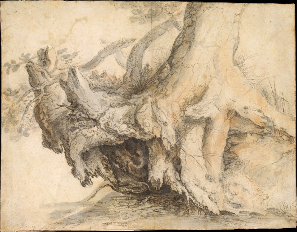Study of a Tree MET DT4410