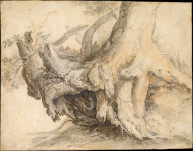 Study of a Tree MET DT4410