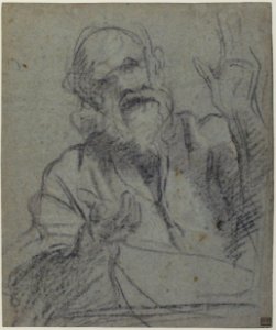 Study of an Old Man MET 1972.118.245 RECTO