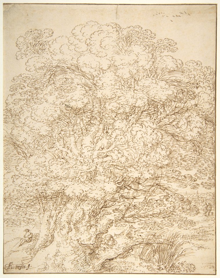 Study of an Old Tree MET DP802225