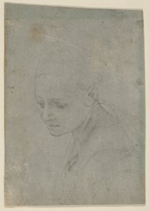 Study of a Young Woman in Three-quarter Bust-Length MET DP838058