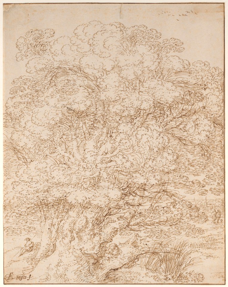 Study of an Old Tree MET DP167193