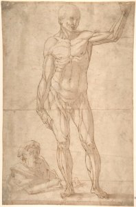 Study of Anatomy- A Youth Drawing an Ecorché of a Standing Man. MET DP801804