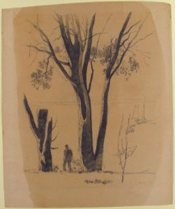 Study of Man between Trees MET 62.650.172