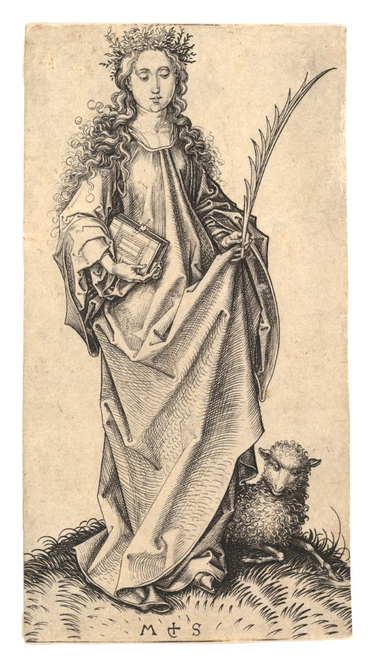 St. Agnes MET DP820012