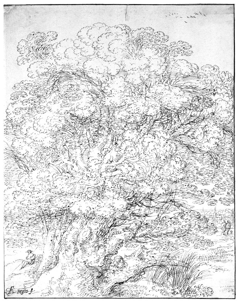 Study of an Old Tree MET 051.1r1 99L