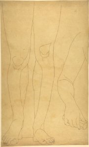 Study of Lower Legs and an Arm MET DP804871