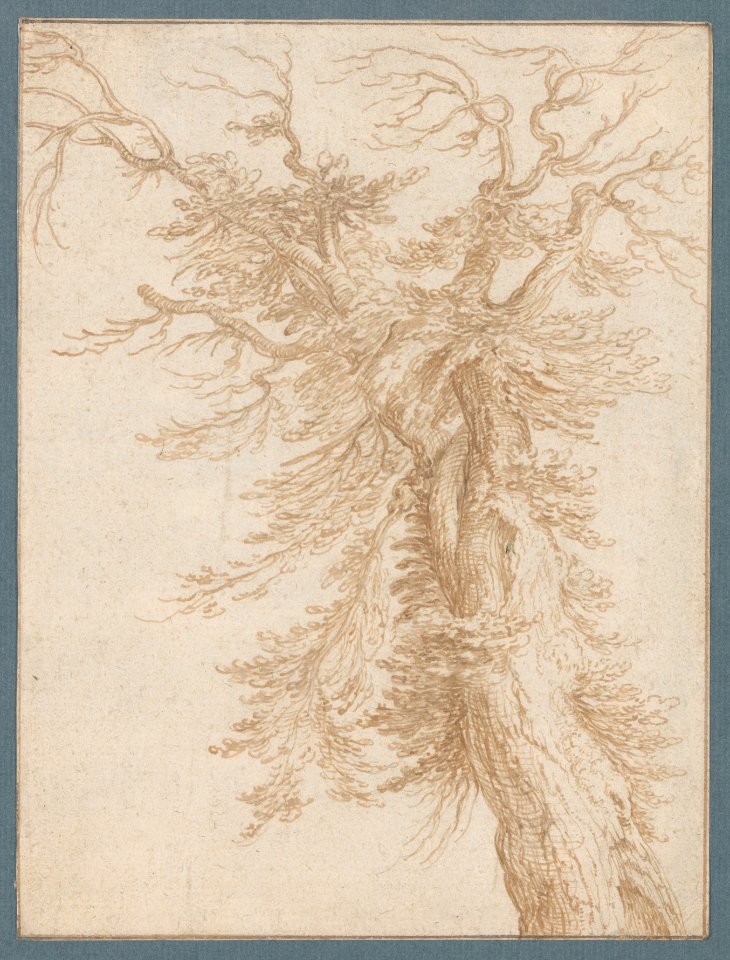 Study of a Tree MET DP221574