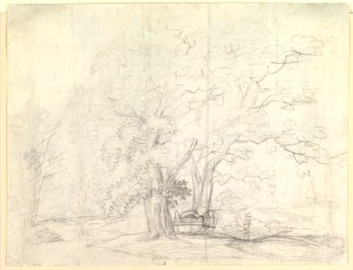 Study of Oak Trees (recto) MET DP819699