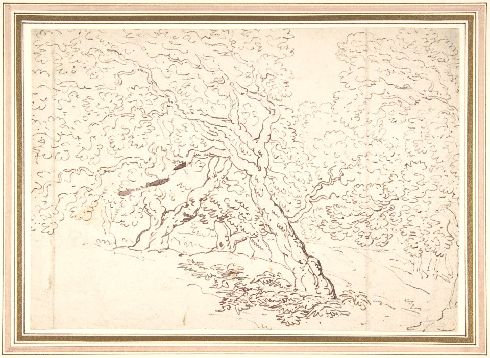 Study of trees MET DP805045