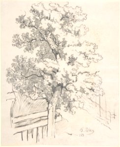 Study of a Tree MET DP803693