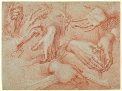 Study of Hands (recto); Study for a Reclining St. Francis (verso) MET DP844990