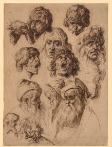 Study of Eleven Heads MET DP152106