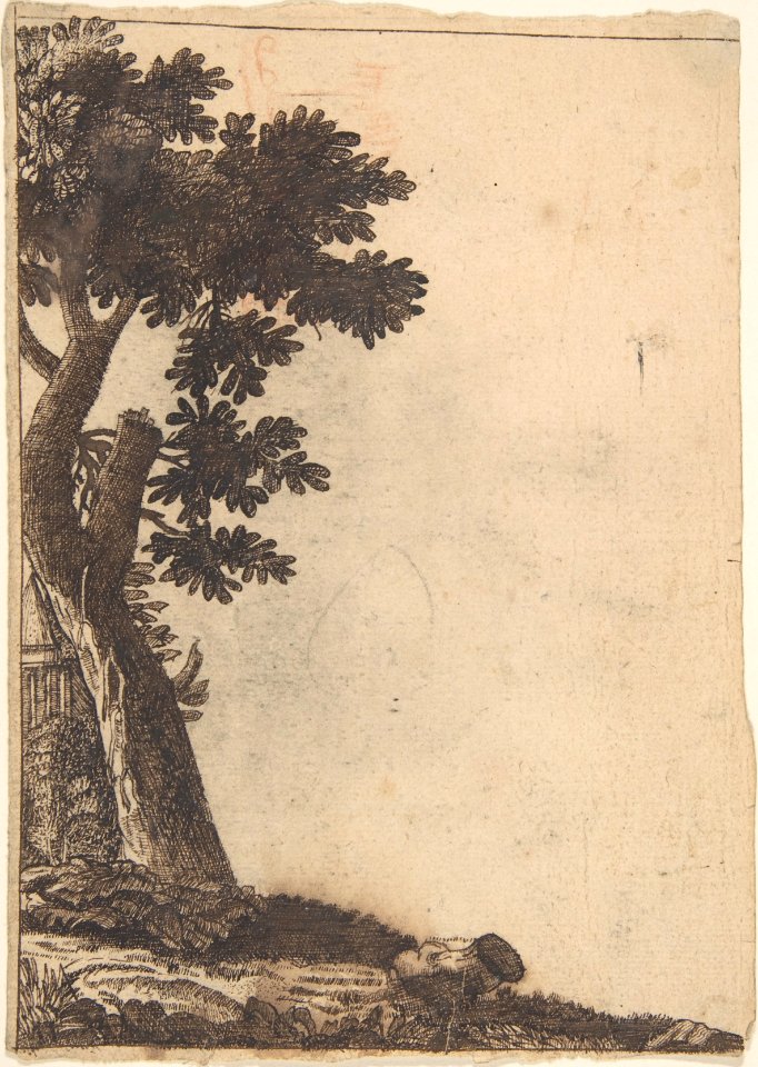 Study of a Tree MET DP800867