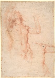 Study of Nude Figure in Front View Looking Upward; Study of Torso and Left Arm MET DP802176