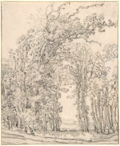 Study of Trees MET DP800602