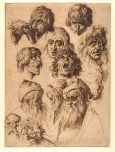 Study of Eleven Heads MET DP131502