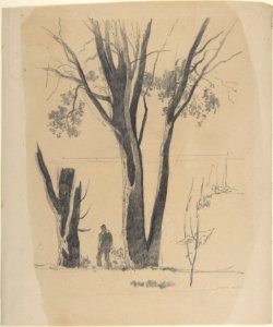 Study of Man between Trees MET DP808072