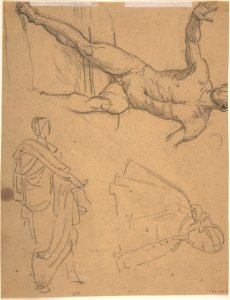 Study of Drapery MET DP808456