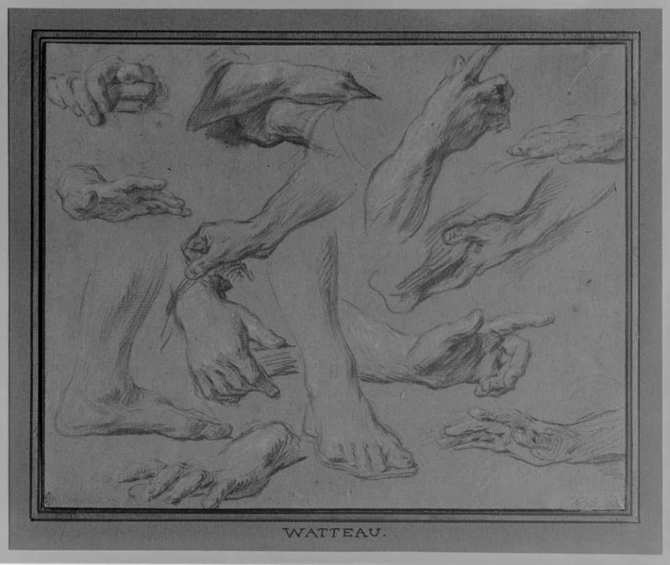 Studies of Hands and Feet MET 573