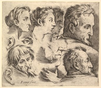 Studies of Heads MET DP819523